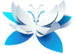 Wiki